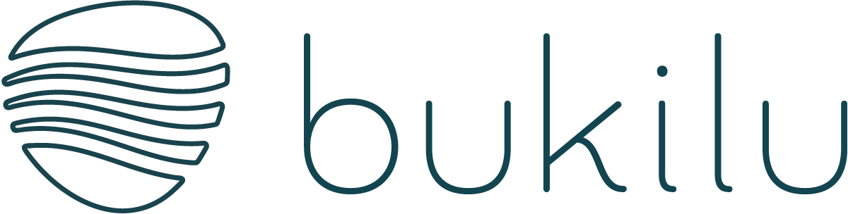 family transitions mentoring
